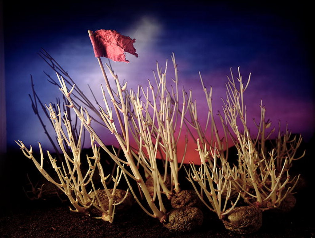 Detail of Battle for the potatoes, 1994 by Norman Hollands