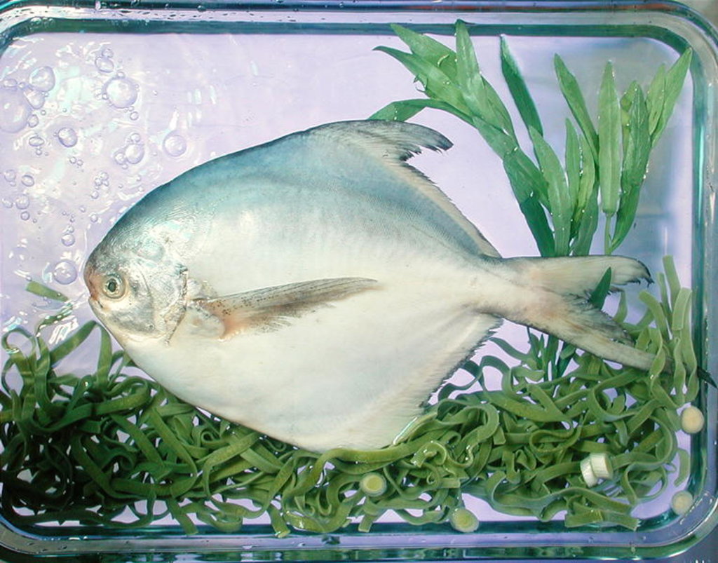 Detail of Pomfret, tagliatelle, tarragon & spring onion, 1990 by Norman Hollands