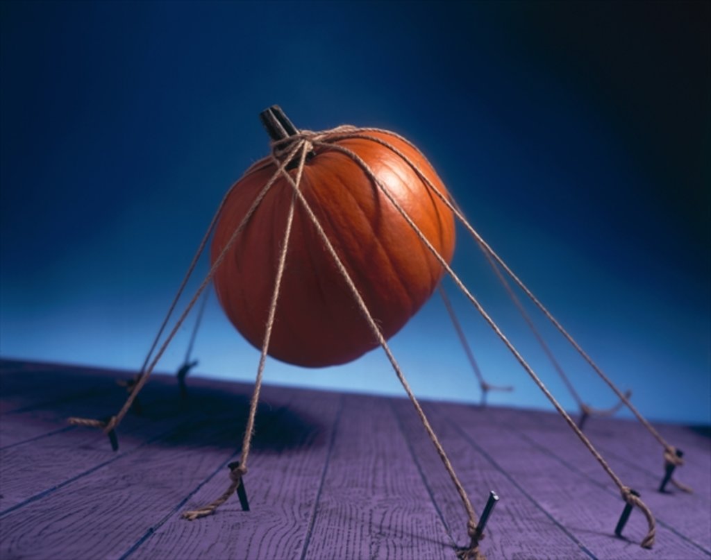 Detail of Tethered Pumpkin, 1996 by Norman Hollands