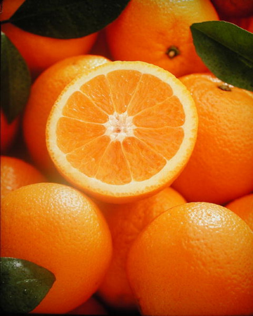 Detail of Oranges and cut orange, 1996 by Norman Hollands