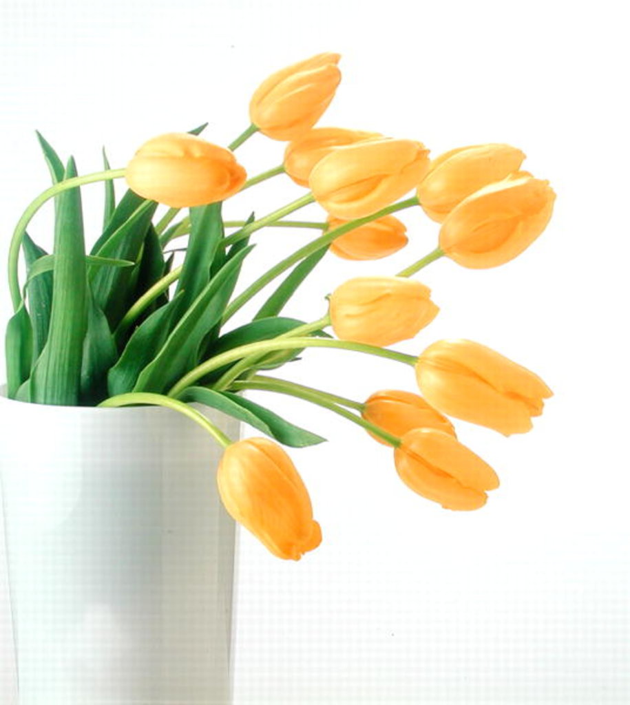 Detail of Yellow tulips I, 1999 by Norman Hollands