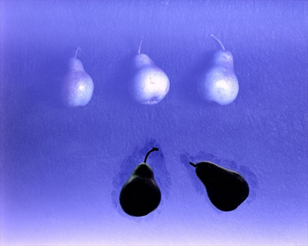 Detail of Blue Pears 2005 by Norman Hollands