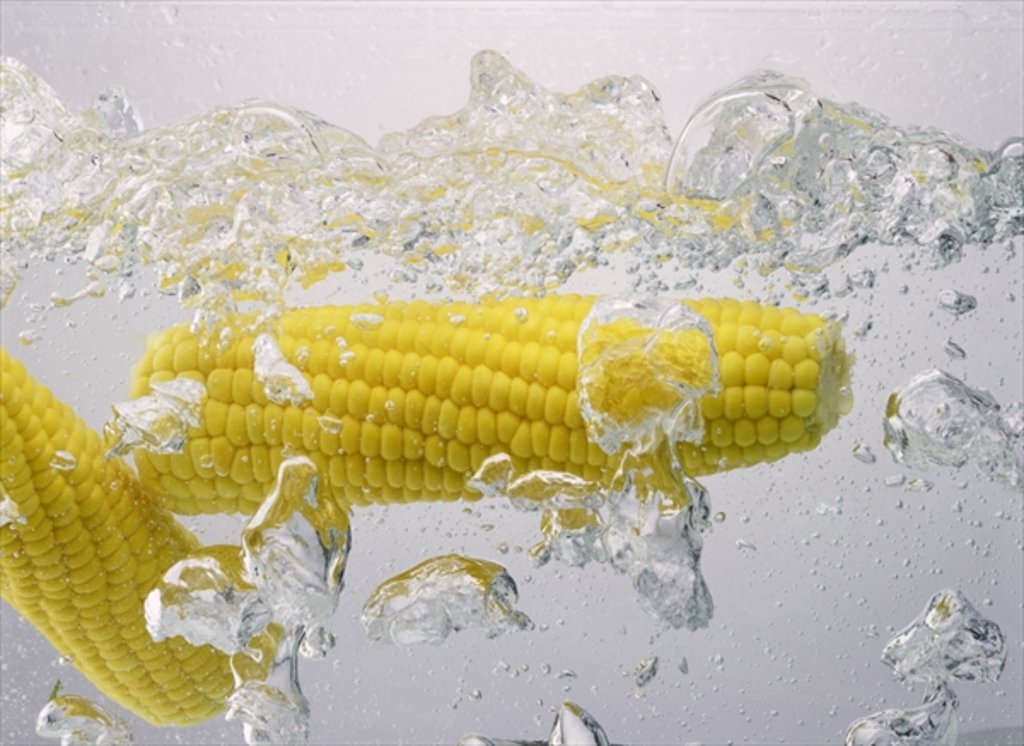 Detail of Boiling sweetcorn, 2003 by Norman Hollands