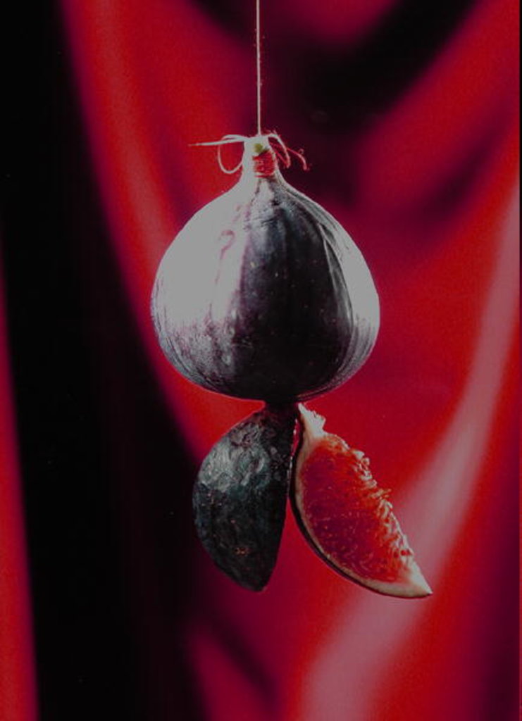 Detail of Fig on a string with segments, 2003 by Norman Hollands