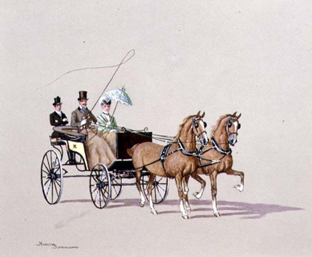 Detail of Spider Phaeton, 1972 by Ninetta Butterworth