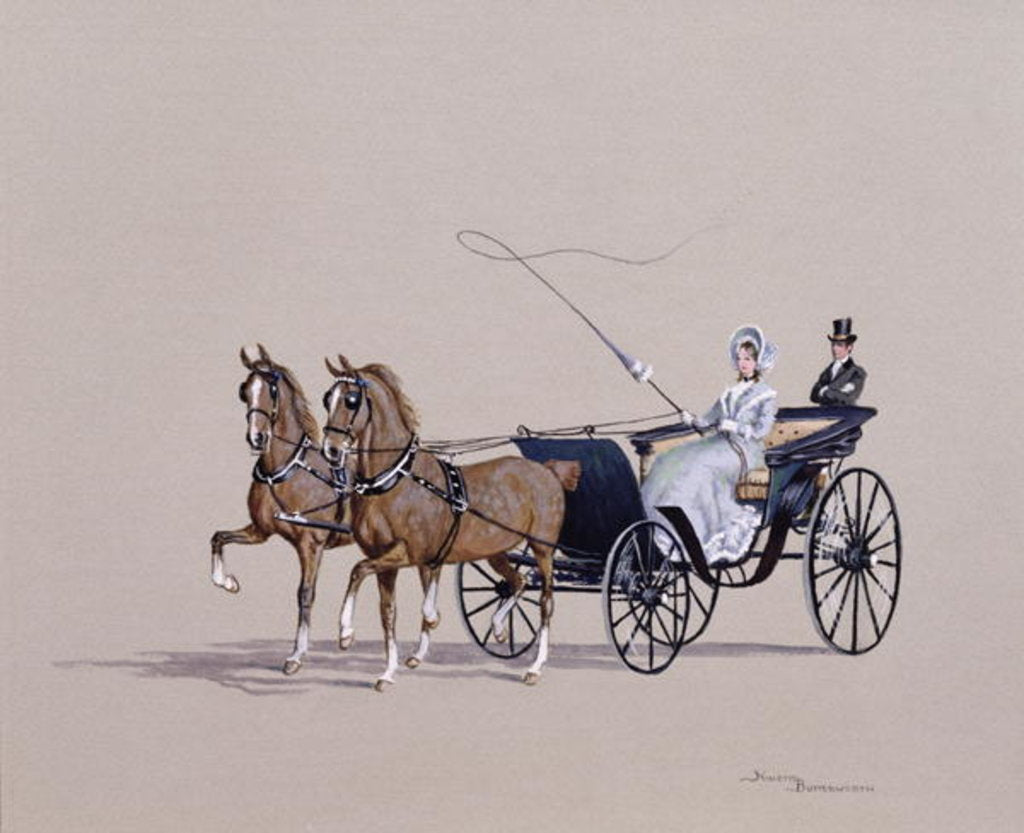 Detail of Park Phaeton, 1972 by Ninetta Butterworth