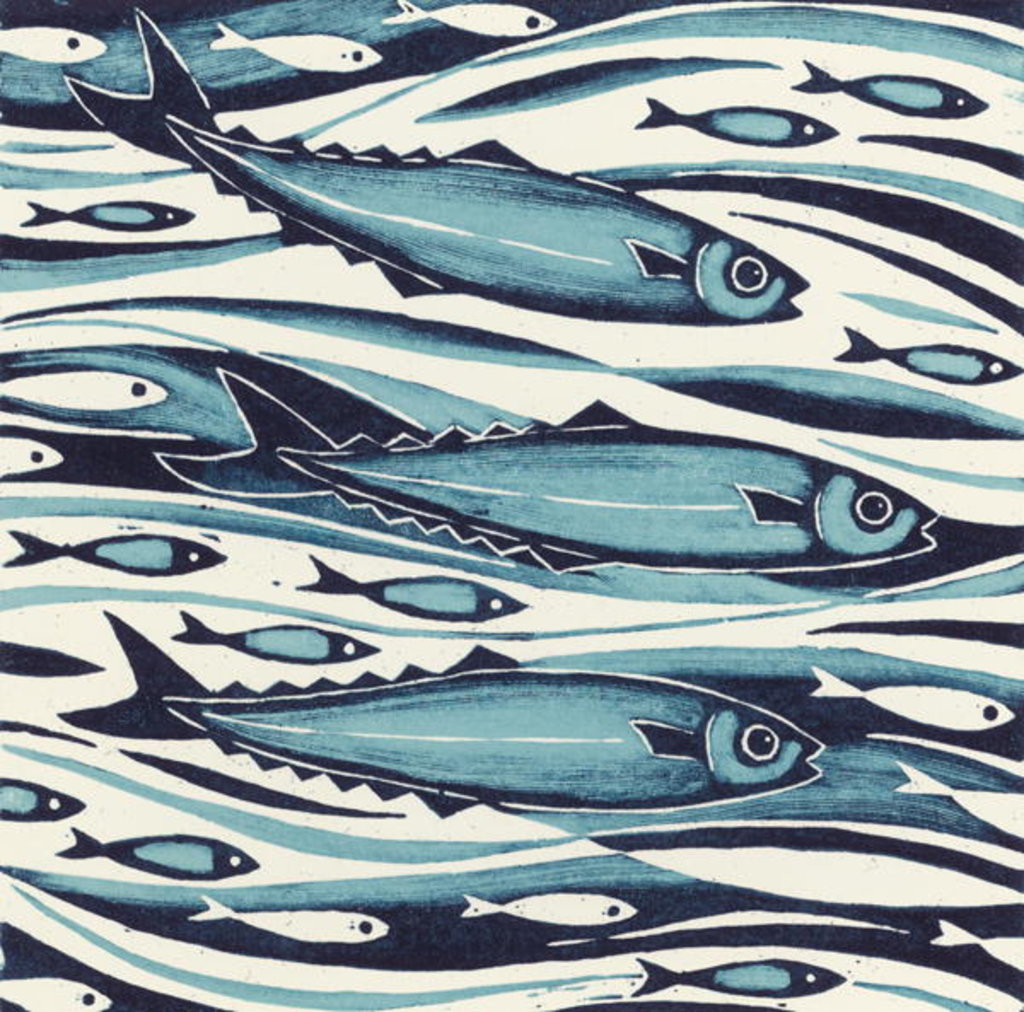 Detail of Sprats, 2004 by Nat Morley