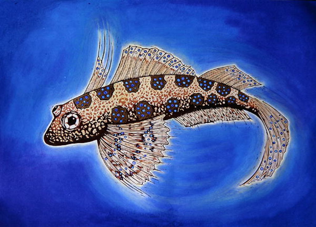Detail of Dragonet Fish, 1999 by Nat Morley