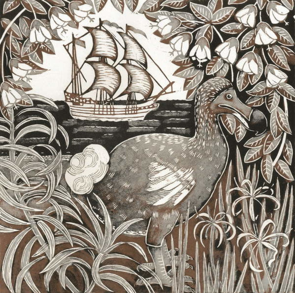 Detail of Dodo by Nat Morley