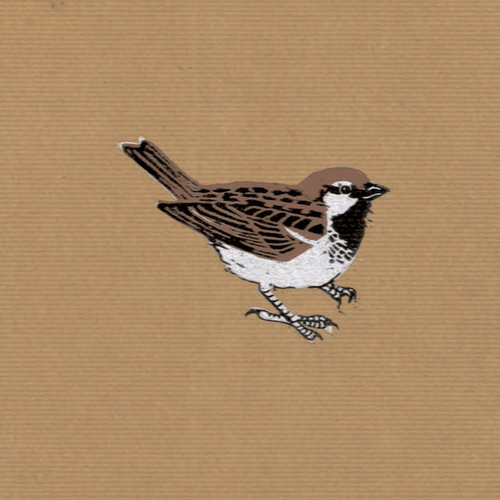 Detail of Sparrow, 2013 by Nat Morley