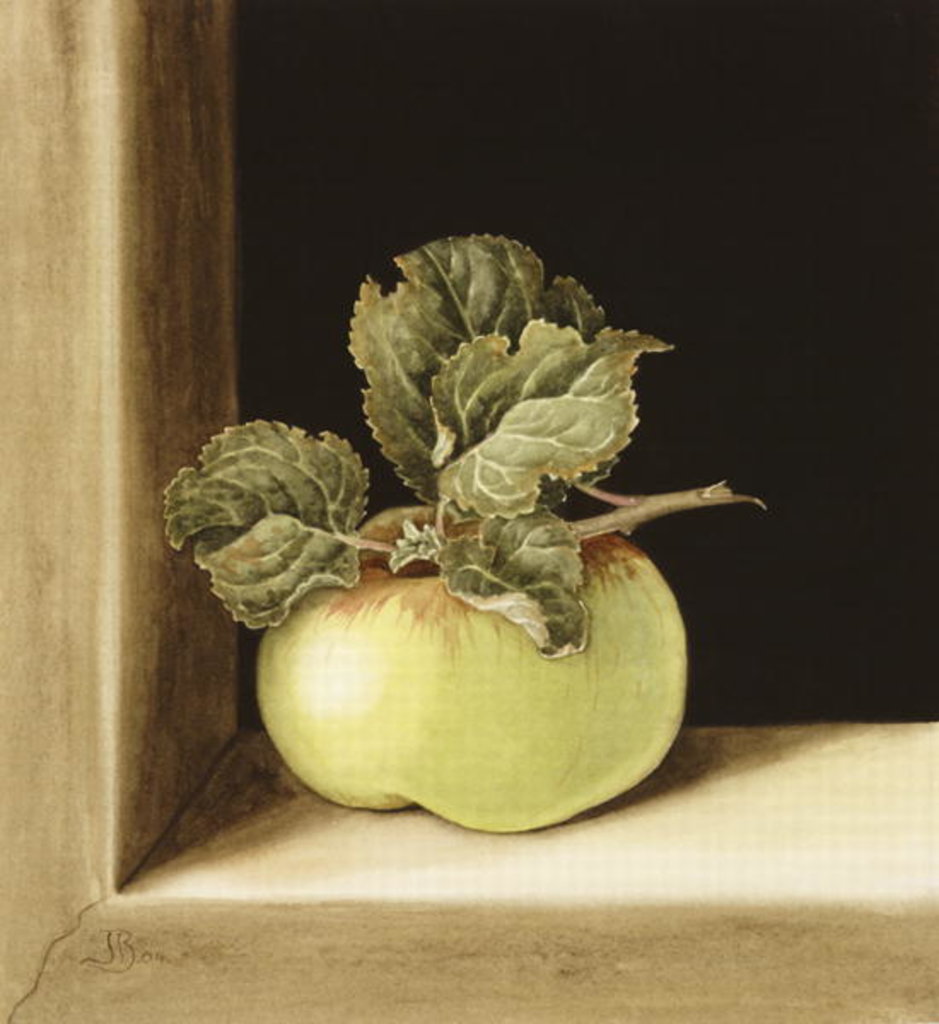 Detail of Apple by Jenny Barron