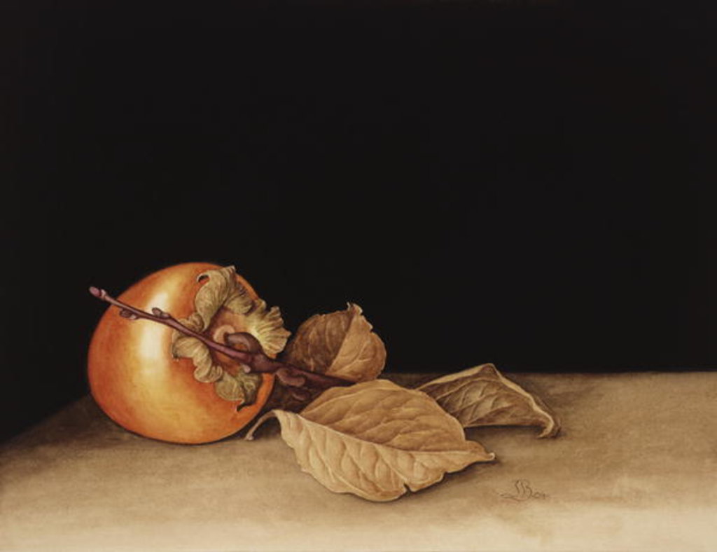 Detail of Persimmon, 2004 by Jenny Barron