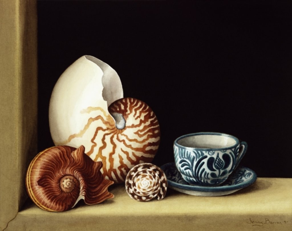 Detail of Still life with Nautilus, 1998 by Jenny Barron