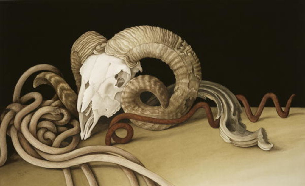 Detail of Vanitas, 2004 by Jenny Barron