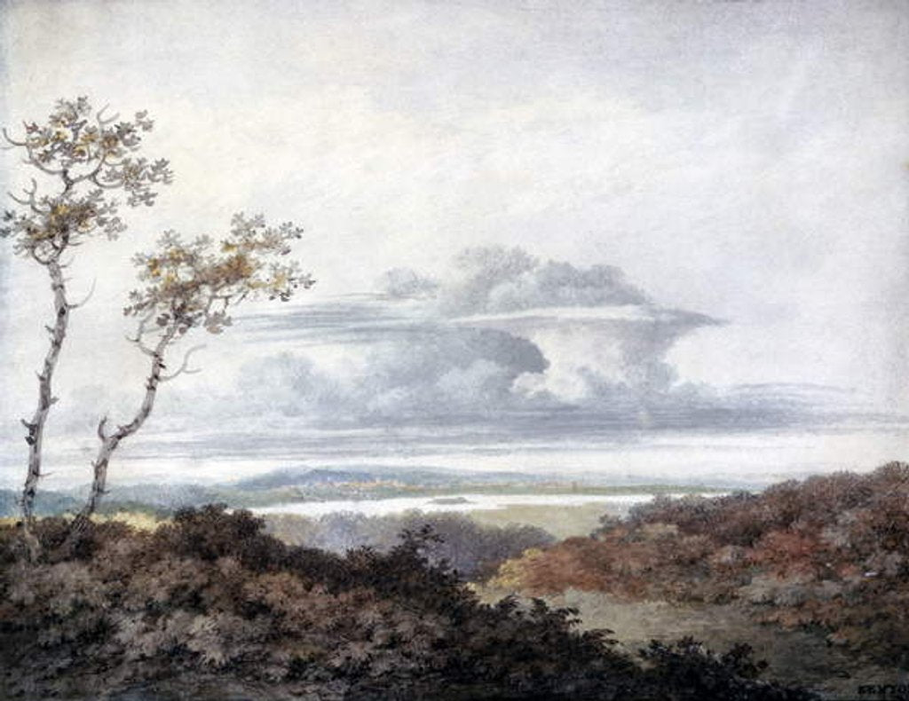Detail of Rural landscape with later cloud studies by Luke Howard c.1808-11 by Luke Howard