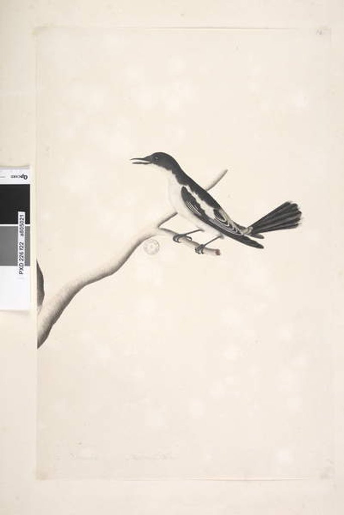 Detail of Page 22. November by Unknown artist