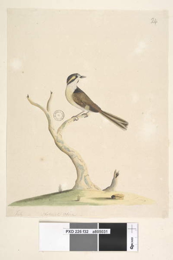 Detail of Page 32. Unidentified July by Unknown artist