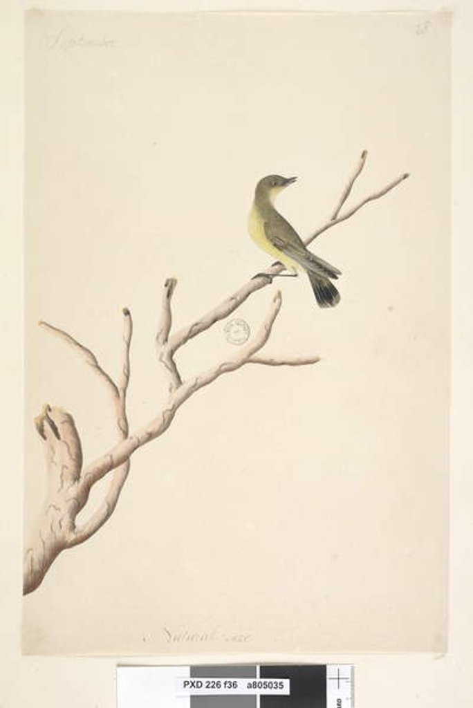 Detail of Page 36. September by Unknown artist