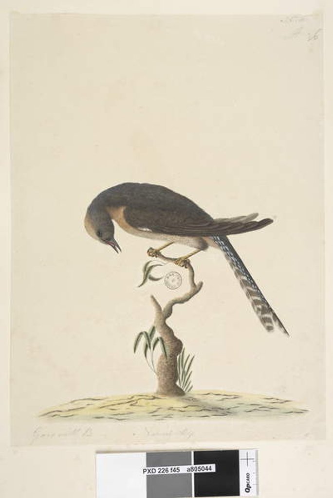 Detail of Page 45. Natural size by Unknown artist