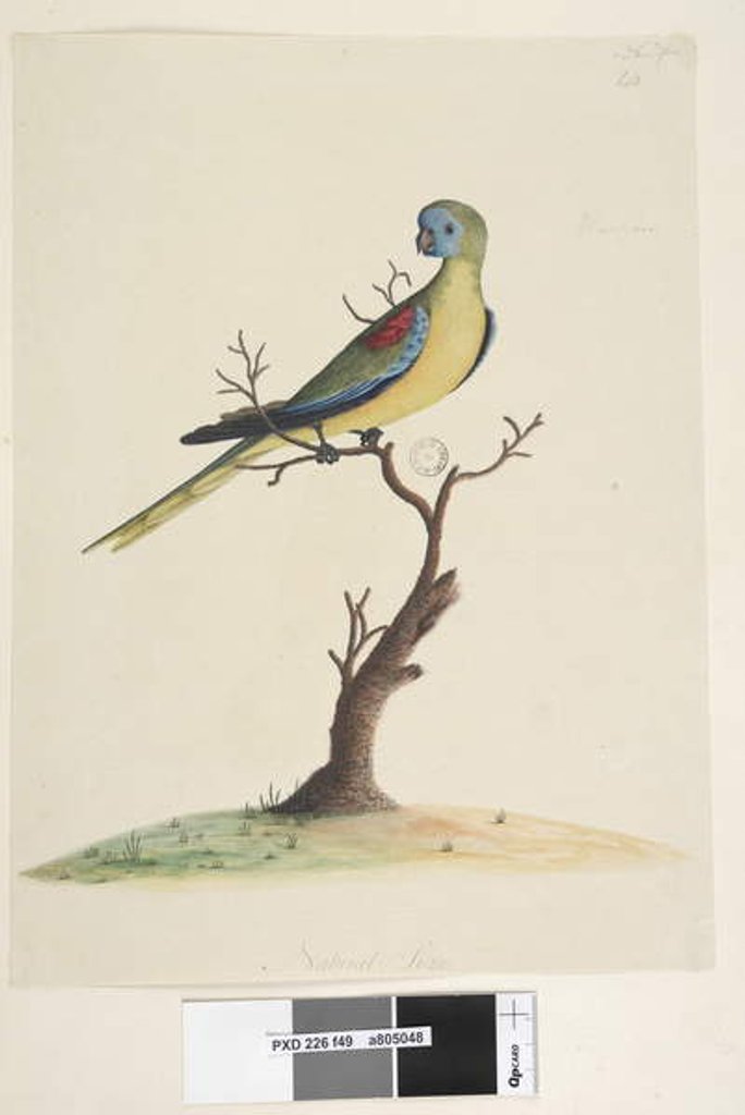 Detail of Page 49. War,ran by Unknown artist