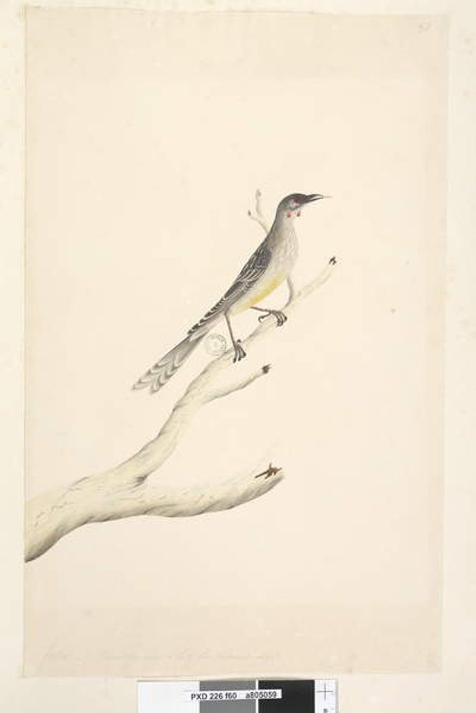 Detail of Page 60. June by Unknown artist