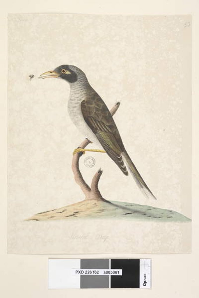 Detail of Page 62. June by Unknown artist