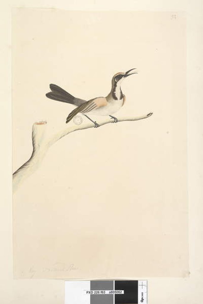 Detail of Page 63. May by Unknown artist