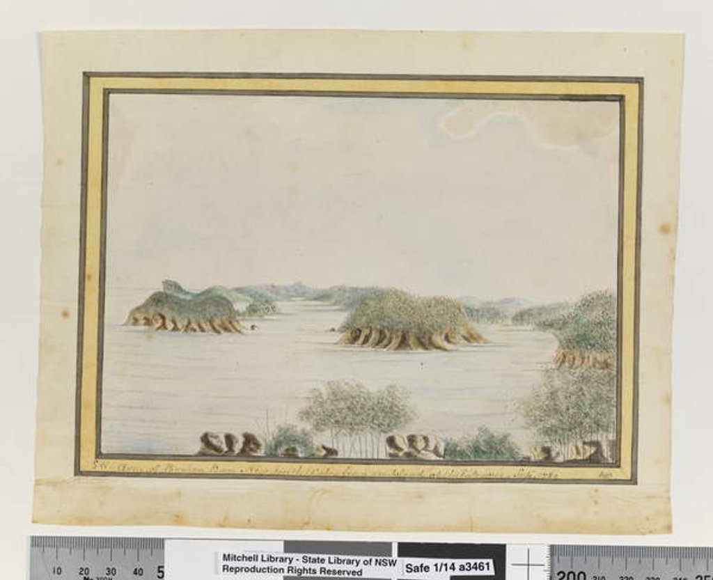 Detail of Opp. p. 93. 'SW. Arm of Broken Bay New South Wales from an Island at the Entrance. Sepr 1789', c.1802 by William Bradley