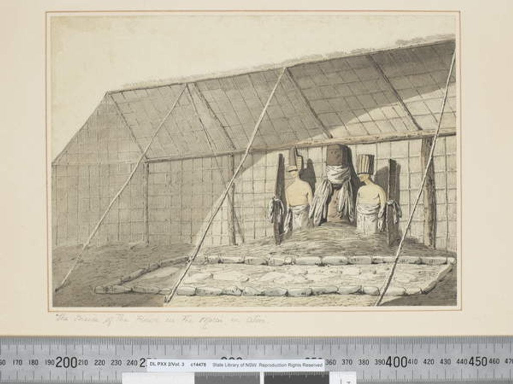 Detail of F.18 The Inside of the House, in the Morai, in Atooi, c.1773-84 by John Webber