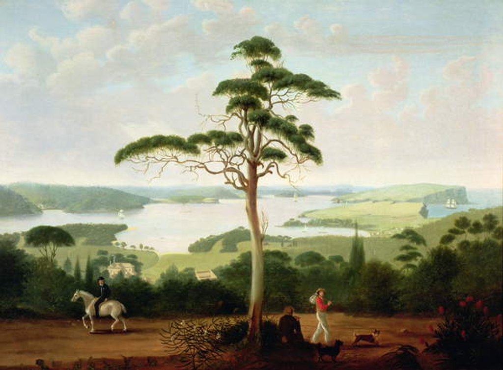 Detail of Sydney Harbour looking towards the Heads, 1848 by Jacob Janssen