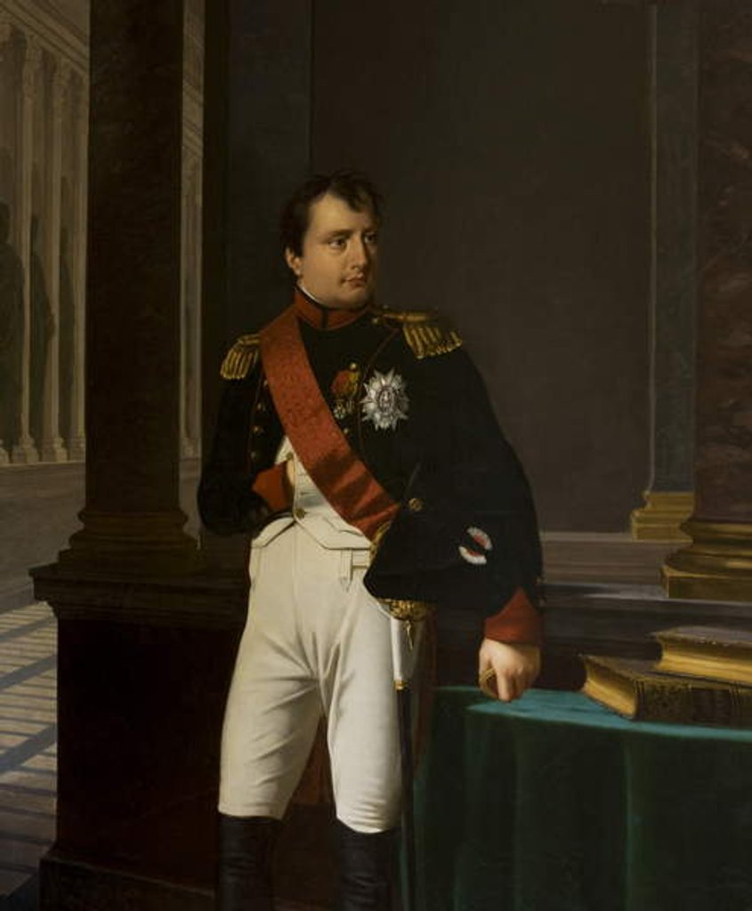 Detail of The Emperor Napoleon, 1813 by Robert Lefevre