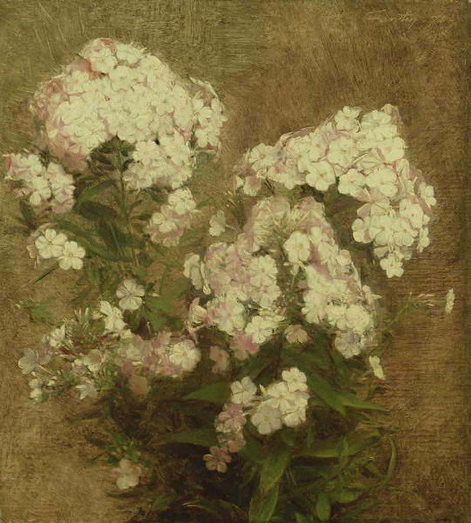Detail of Phlox, 1870 by Ignace Henri Jean Fantin-Latour