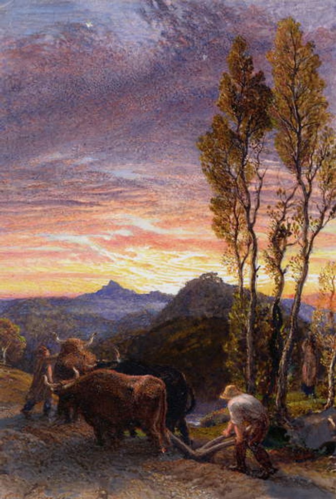 Detail of Oxen Ploughing at Sunset by Samuel Palmer