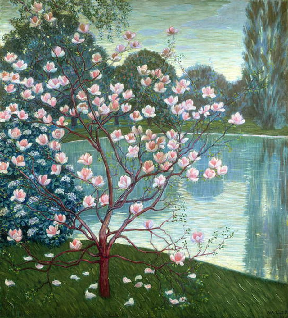 Detail of Magnolia by Wilhelm List