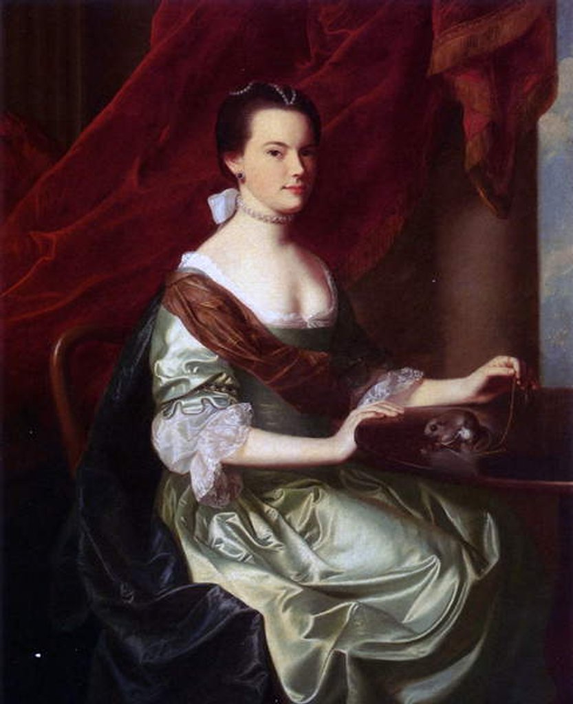 Detail of Mrs Theodore Atkinson Jr., 1765 by John Singleton Copley