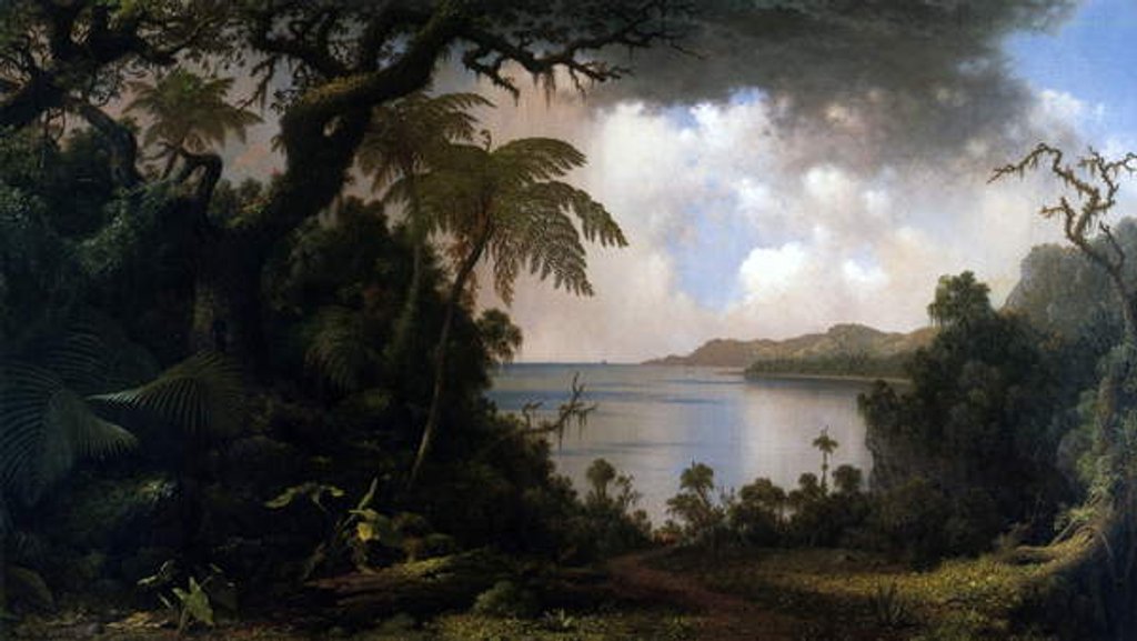 Detail of Jamaica, View from Fern-Tree Walk, 1887 by Martin Johnson Heade