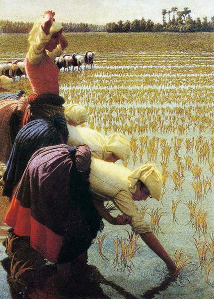 Detail of An Italian Rice Field, 1901 by Angelo Morbelli