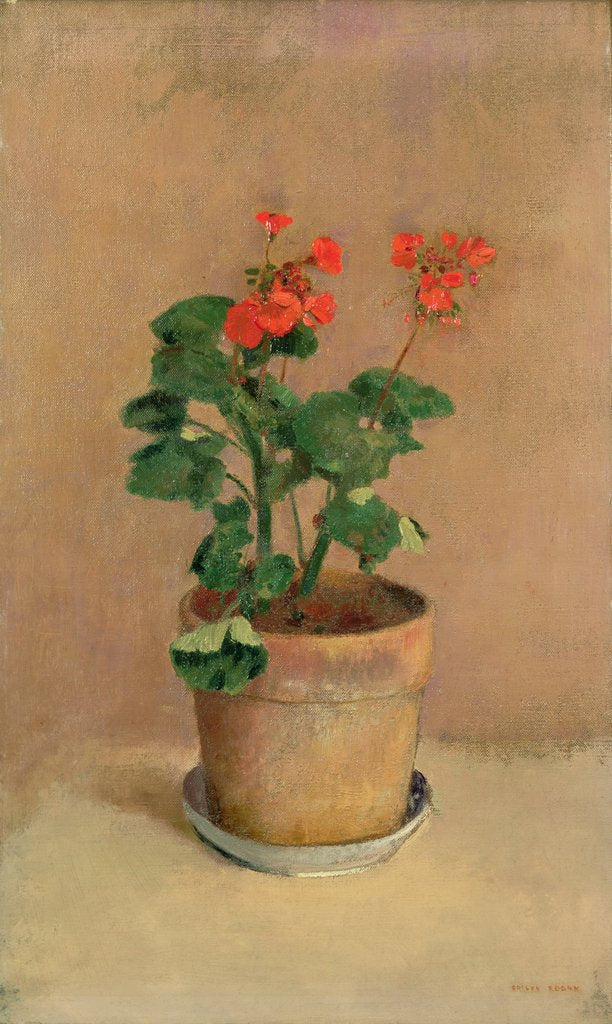 Detail of Geraniums in a Pot, c.1905 by Odilon Redon