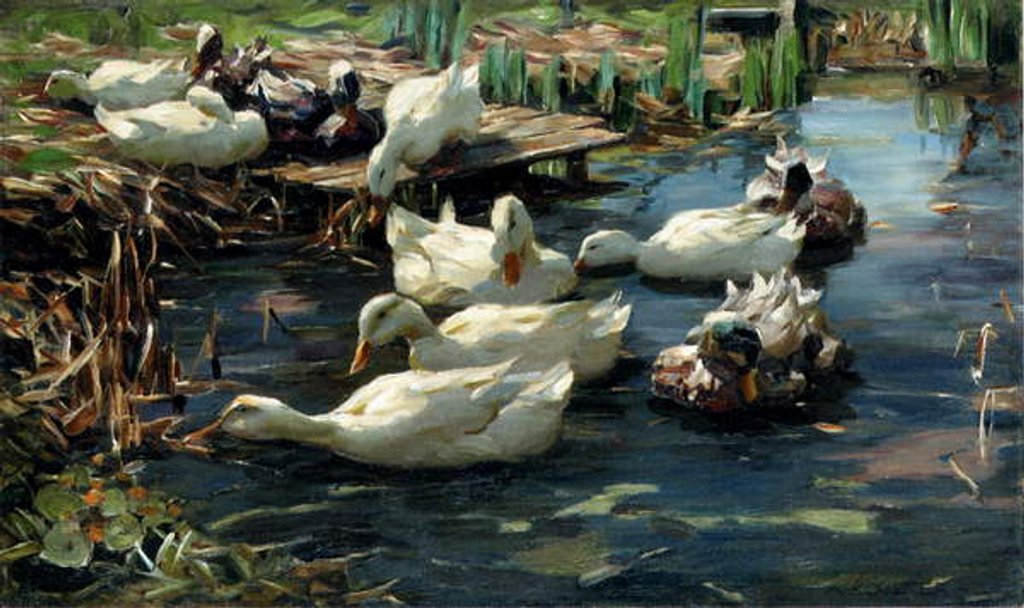Detail of Ducks in a Pool by Alexander Koester