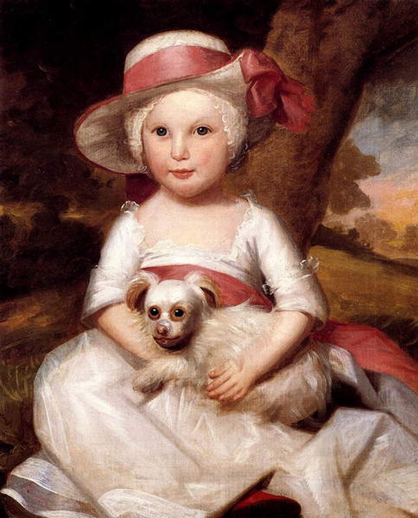 Detail of Portrait of a Child, c.1778 by Ralph Earl