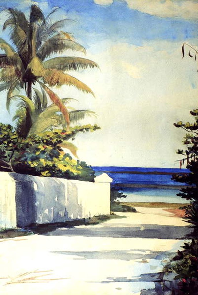 Detail of Road in Nassau, 1898-99 by Winslow Homer