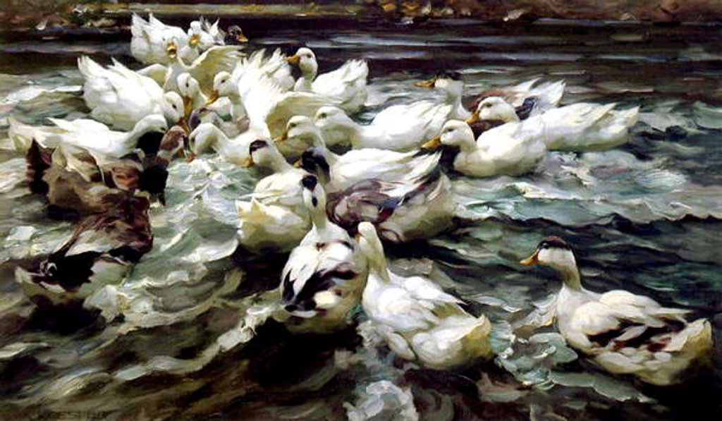 Detail of Ducks Gathering by Alexander Koester