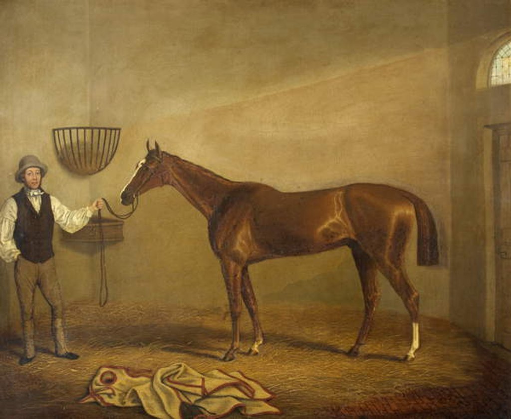 Detail of Bravissimo, Winner of the Monmouthshire Hunt Cup at Abergavenny by James Flewitt Mullock