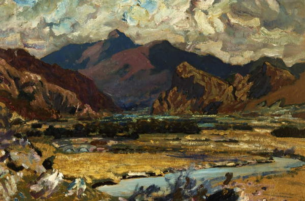 Detail of Cader Idris by Christopher Williams