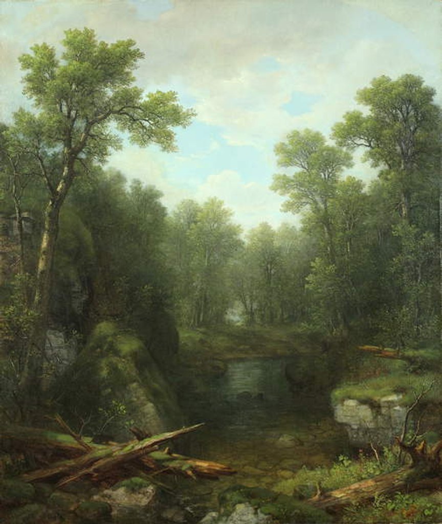 Detail of Chapel Pond Brook, Keene Flats, Adirondack Mountains, New York, 1871 by Asher Brown Durand
