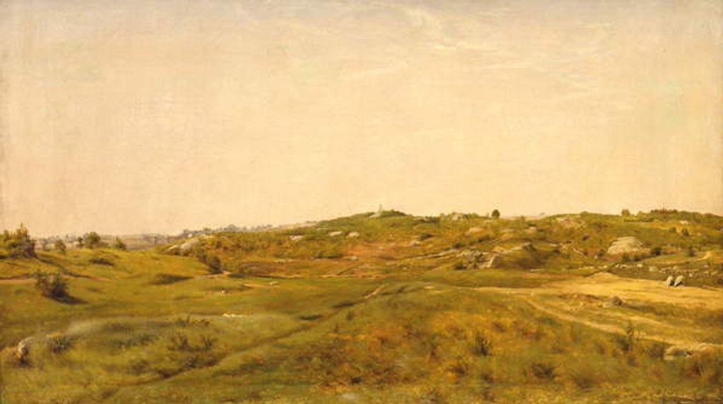 Detail of View in Central Park, N.Y.C., 1858 by Jervis McEntee