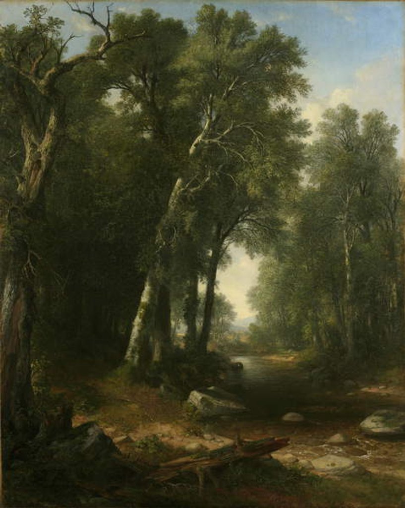 Detail of Woodland Brook, 1859 by Asher Brown Durand