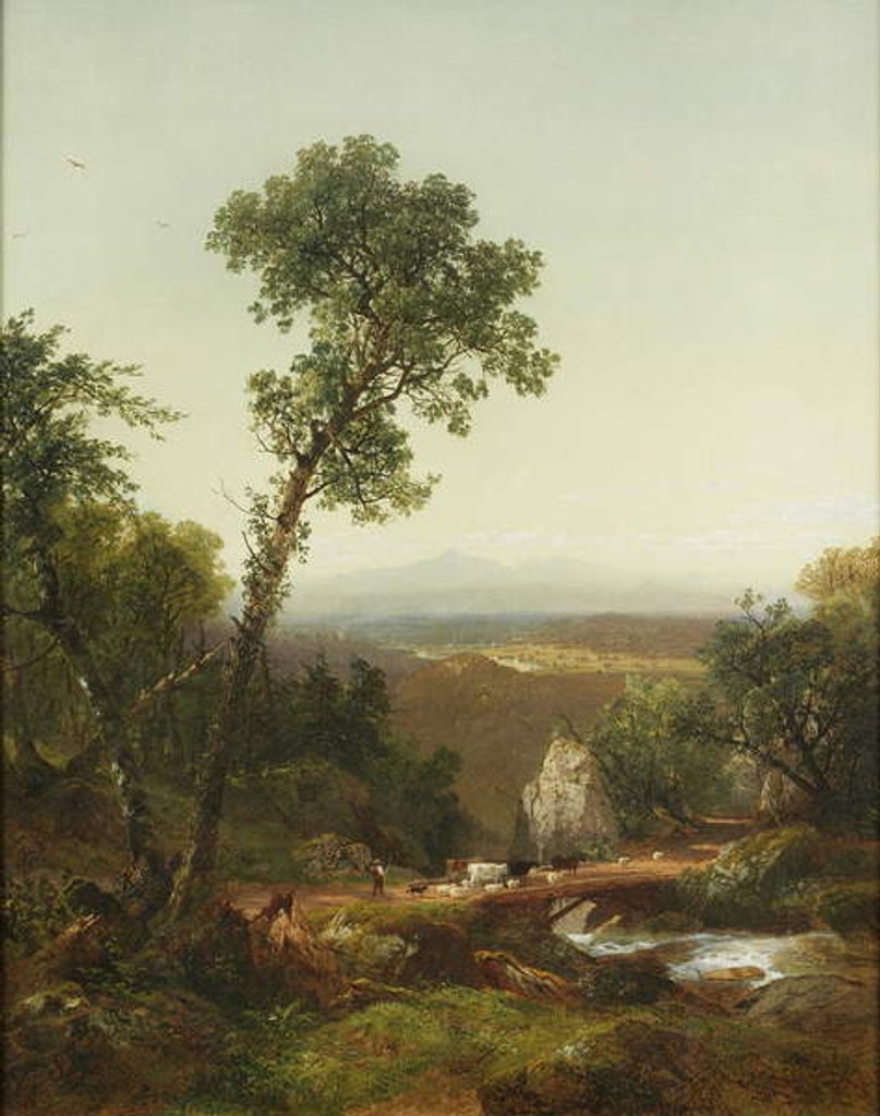 Detail of White Mountain Scenery, 1859 by John Frederick Kensett