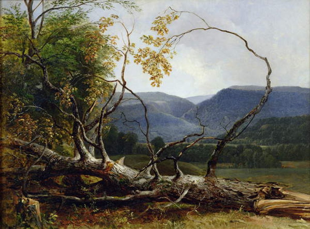 Detail of Study from Nature, Stratton Notch, Vermont, 1853 by Asher Brown Durand