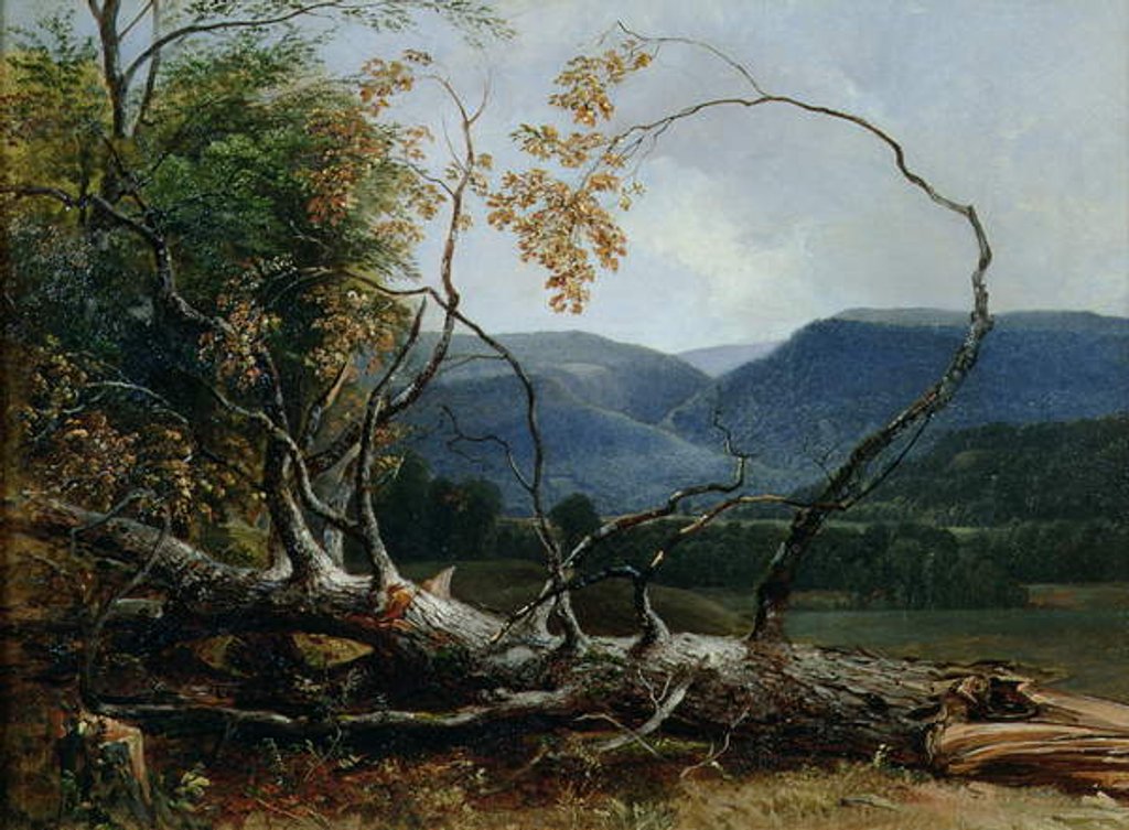 Detail of Stratton Notch, Vermont, 1853 by Asher Brown Durand